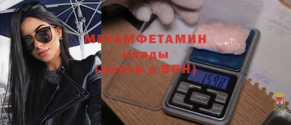 индика Алексин