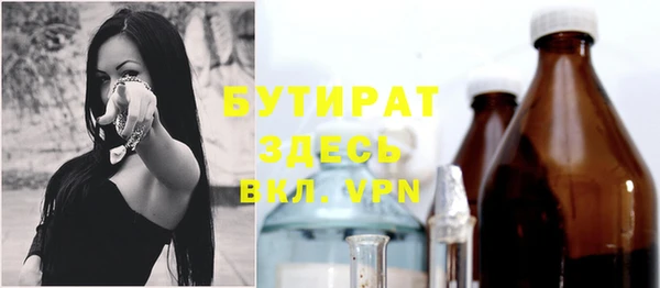 индика Алексин