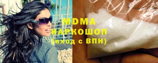 индика Алексин