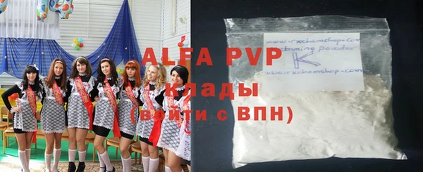 индика Алексин