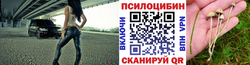 Галлюциногенные грибы GOLDEN TEACHER Белореченск